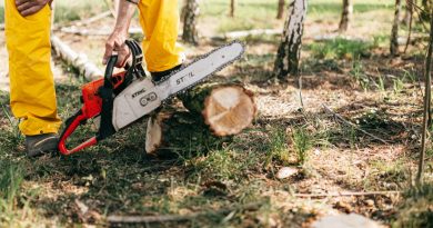 Man holding chainsaw to the fallen tree 390x205 - What You Need to Know About Commercial and Utility Tree Care Services