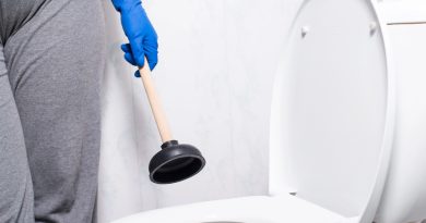 5 Simple Methods to Unclog a Toilet Quickly and Safely a woman holding a plunger near toilet 390x205 - 5 Simple Methods to Unclog a Toilet Quickly and Safely