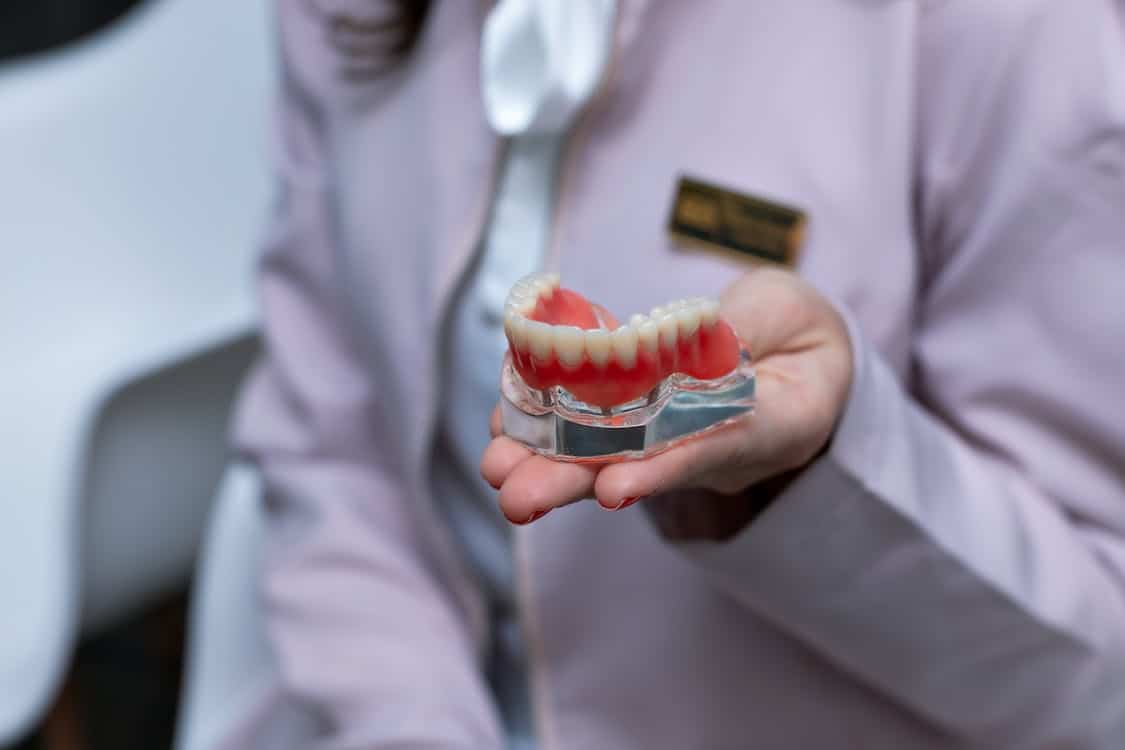 dentist holding a 3d teeth model - A Six-Year Karolinska Study Just Confirmed What Denture Patients Already Suspected About Food and Weight